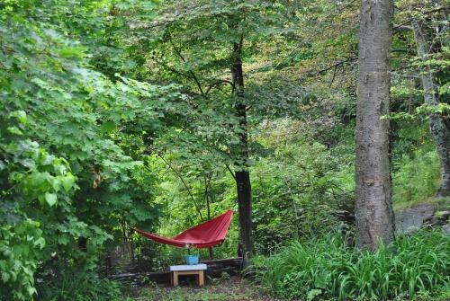 Ascendence Harbourside Bed & Breakfast