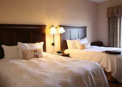Hotel Hampton Inn By Hilton Napanee