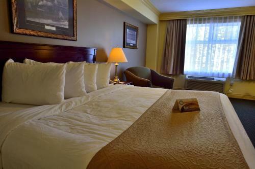 Hotel Quality Inn & Suites Hinton