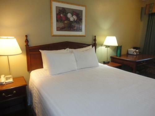 Hotel Days Inn Vernon