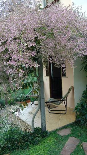 Hostal Eco Pousada Jardim Do Eden