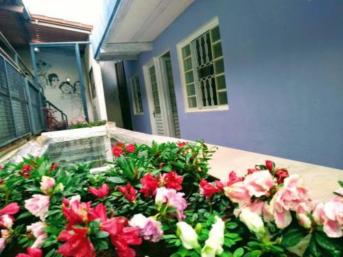 Apartamento Vila Izabel