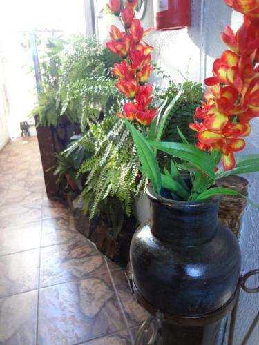 Apartamento Vila Izabel