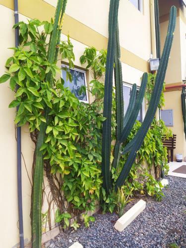 Hotel Norte Blu