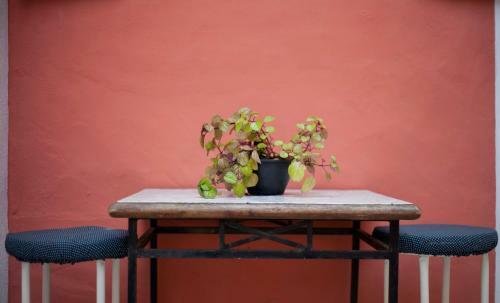 Bed & Breakfast Casa Maembippe