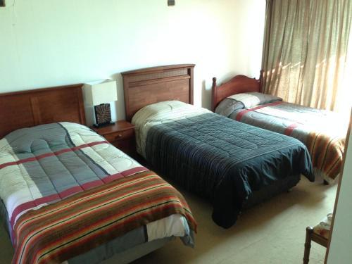 Hostal Entre Araucarias
