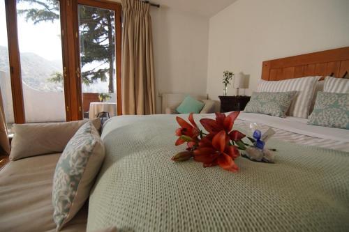 Hotel Casa Arrayan