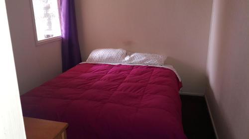 Hostal Caupolican 121