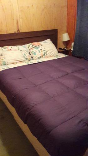 Hostal Caupolican 121