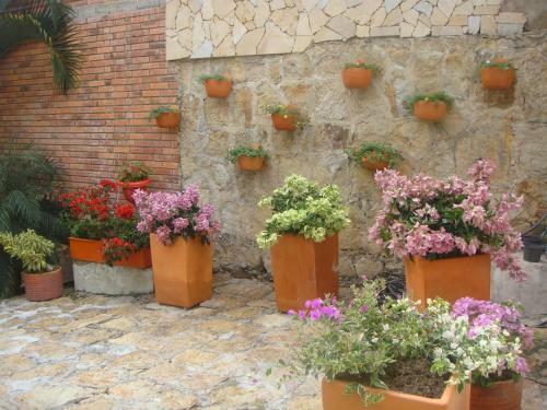 Hotel Villa Amparo