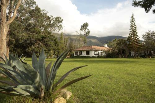 Villa Sof�a