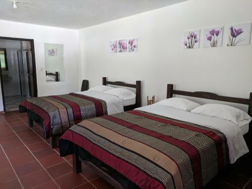 Hostal Huaka-yo