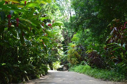 Sierra San Juan - Ecolodge