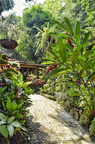 Sierra San Juan - Ecolodge