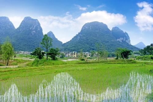 Hotel Peach Blossom River Resort