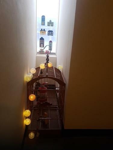 Hostal Sokcho & Guesthouse