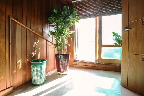 Hostal Gangneung Baugil Guesthouse