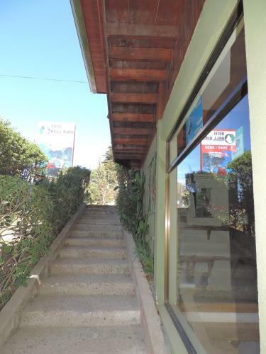 Hotel Bell Bird