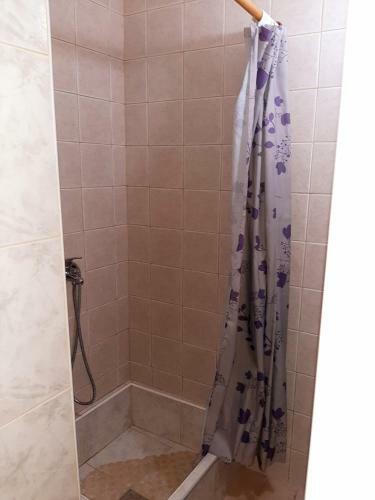 Apartments Villa Baric