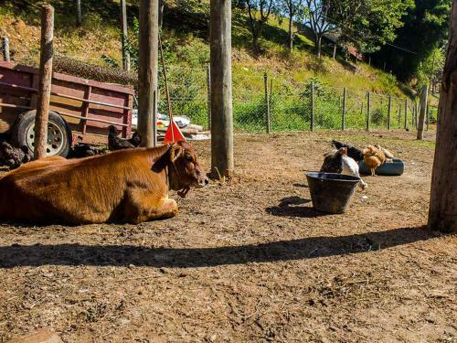 Agroturismo Est�ncia Solazer