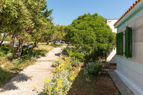Apartamentos Turisti?ko Naselje Punta