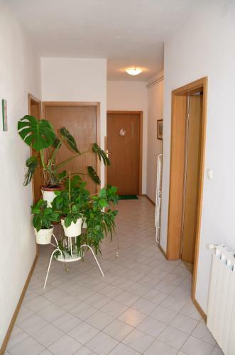 Green Apartments
