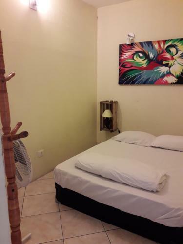 Hostel Brazil Backpackers
