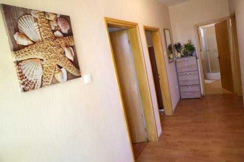 Apartments Vedrana