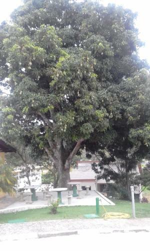 Hotel Pousada Gurupi�