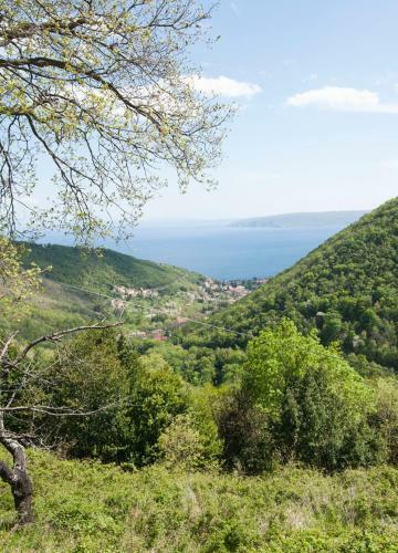 Holiday House Bariani