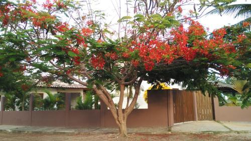 Casa Da Ilha De Itaparica - Club Med