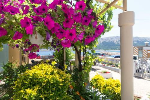 Hostal Guest House Villa Baska