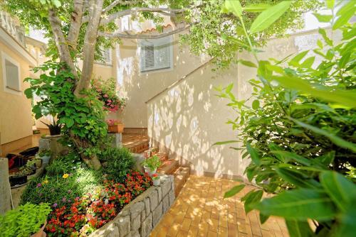 Apartments Vedrana 2423
