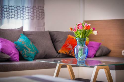 Albergue Holiday Home White House