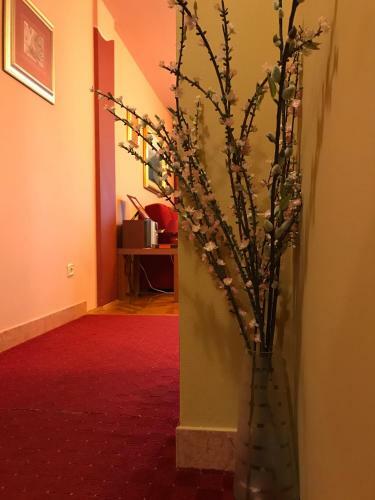 Thorina Apartments