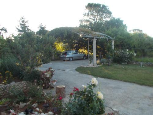 Apartments Makaus