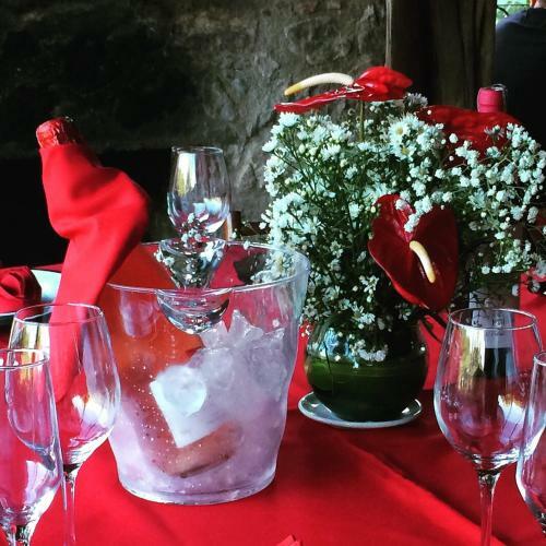 Hostal Pousada Manjeric�o
