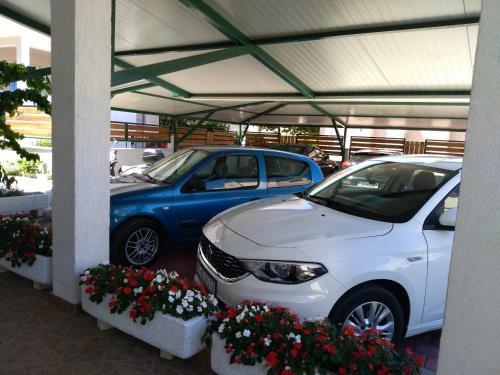 Apartments Davor
