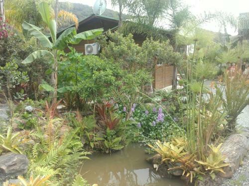 Apartamento Vila Equil�brio Natural