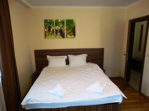 Hotel Rechen Rai