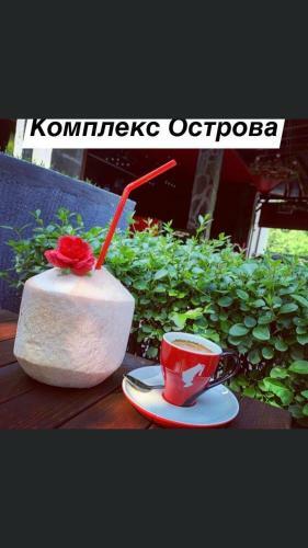 Hotel Ostrova