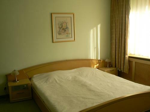 Hotel Pravets Palace