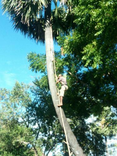 Sok Phen Homestay