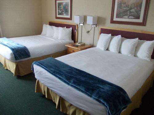 Hotel Rocky Inn Express