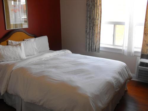 Hotel The Albert Street Inn