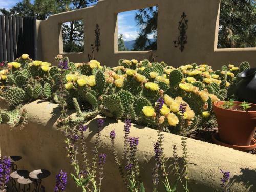Bed & Breakfast Casa Colina