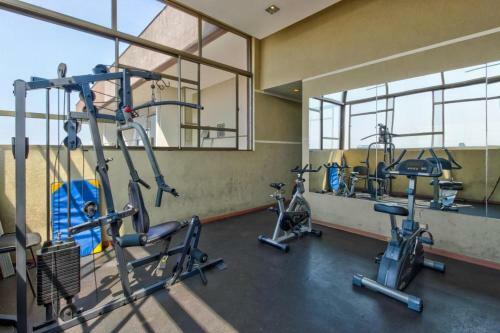 Apartamentos Gcp