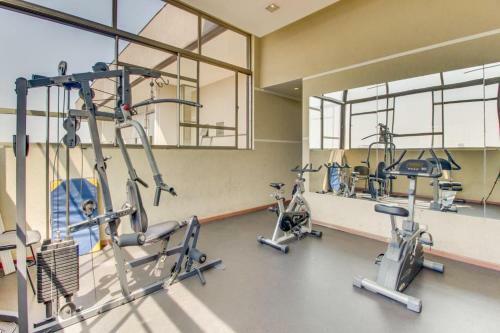 Apartamentos Gcp