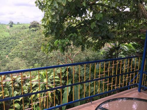 Bed & Breakfast Finca Machangara