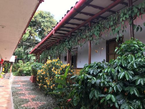 Bed & Breakfast Finca Machangara